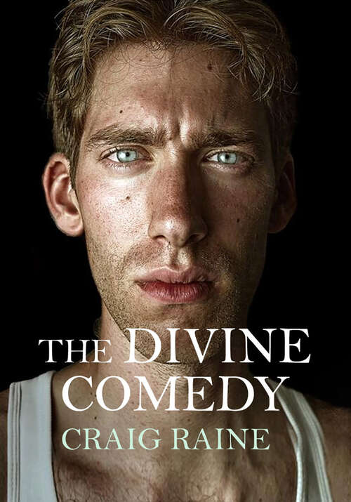 Book cover of The Divine Comedy
