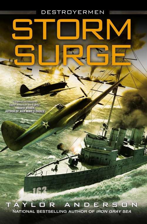 Book cover of Storm Surge (Destroyermen, Book #8)