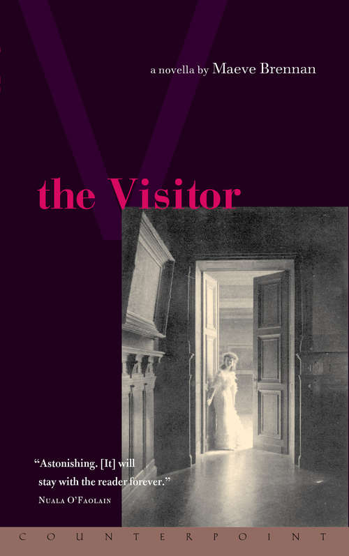Book cover of The Visitor