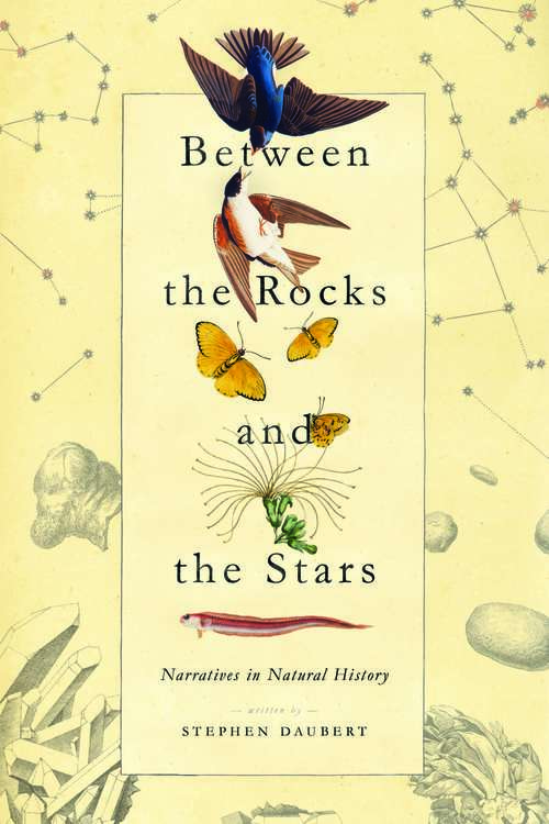 Book cover of Between the Rocks and the Stars: Narratives in Natural History
