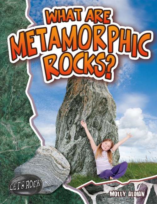 Book cover of What are Metamorphic Rocks?