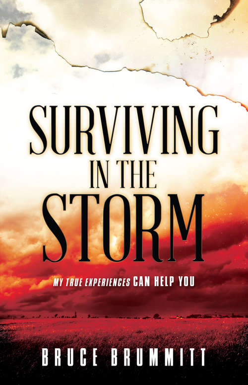 Book cover of Surviving in the Storm: My True Experiences Can Help You