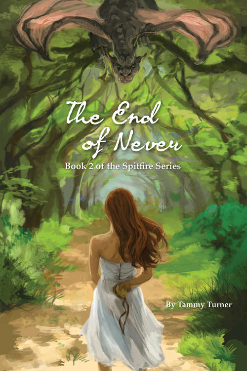 Book cover of The End of Never (The Spitfire Series #2)