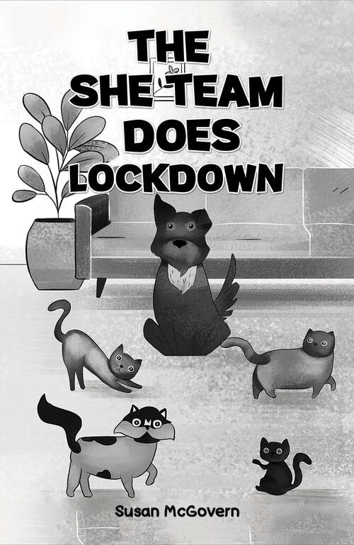 Book cover of The She Team Does Lockdown
