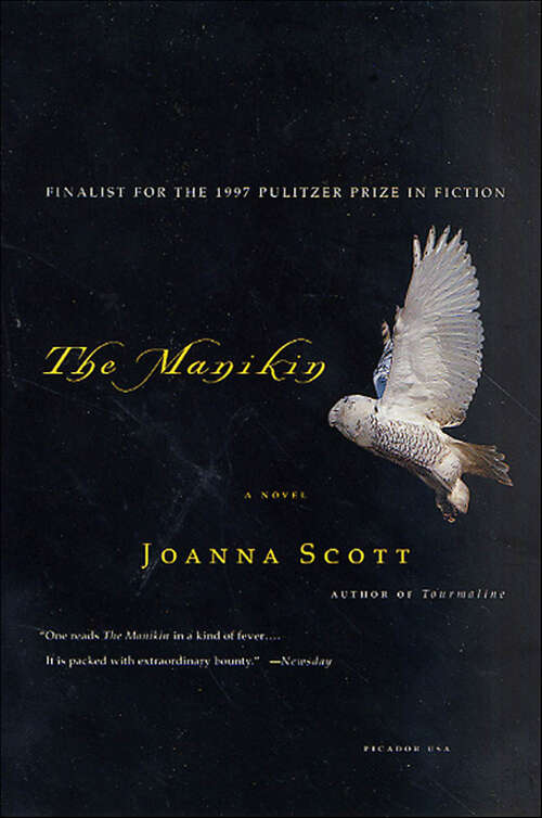 Book cover of The Manikin: A Novel
