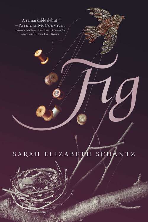 Book cover of Fig
