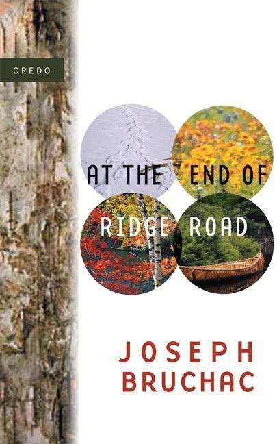 Book cover of At the End of Ridge Road