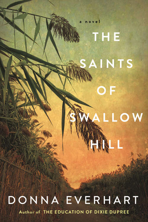 Book cover of The Saints of Swallow Hill: A Fascinating Depression Era Historical Novel