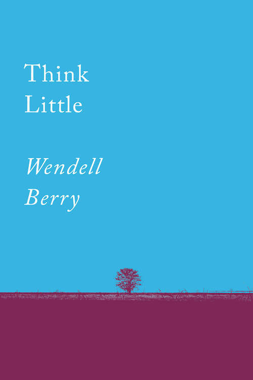 Book cover of Think Little: Essays (Counterpoints #1)