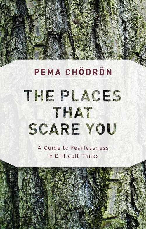 Book cover of The Places That Scare You: A Guide to Fearlessness in Difficult Times