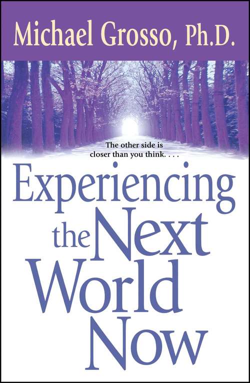 Book cover of Experiencing the Next World Now