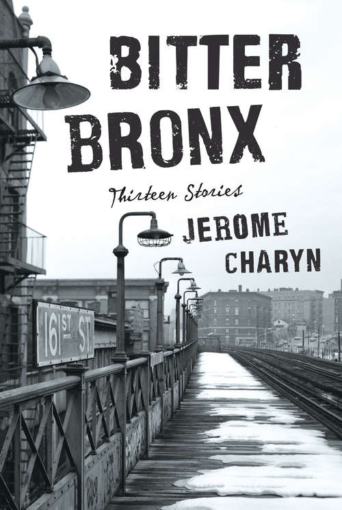 Book cover of Bitter Bronx: Thirteen Stories