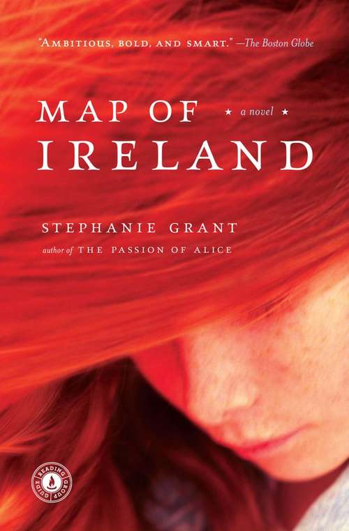 Book cover of Map of Ireland