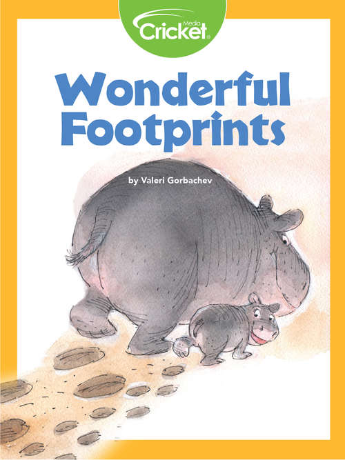 Book cover of Wonderful Footprints