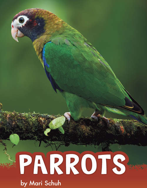 Book cover of Parrots (Animals)