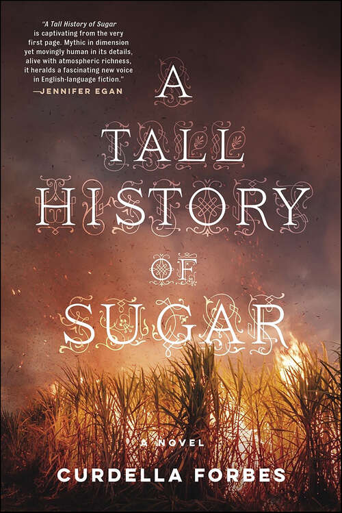 Book cover of A Tall History of Sugar: A Novel