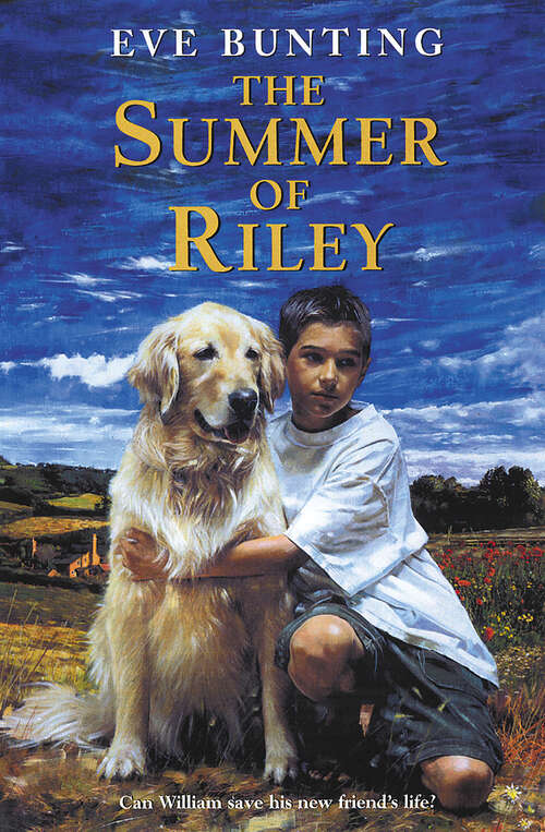 Book cover of The Summer of Riley