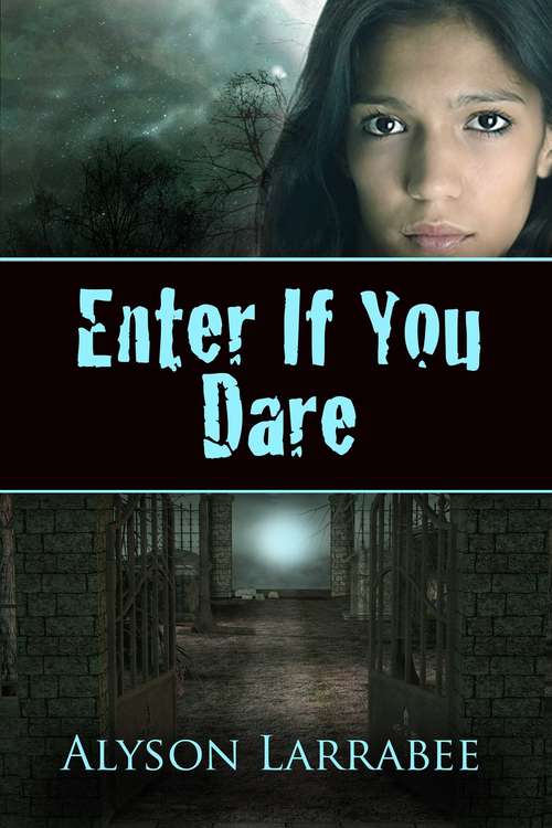 Book cover of Enter If You Dare