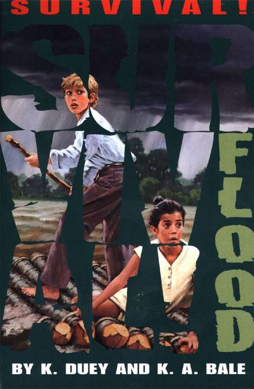 Book cover of Flood: Mississippi, 1927 (Survival!)