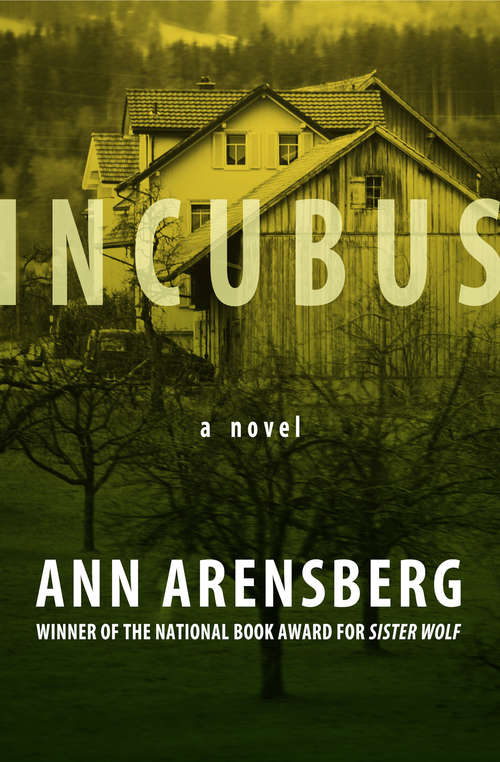 Book cover of Incubus: A Novel