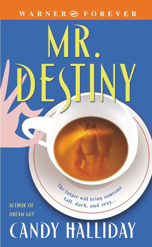 Book cover of Mr. Destiny
