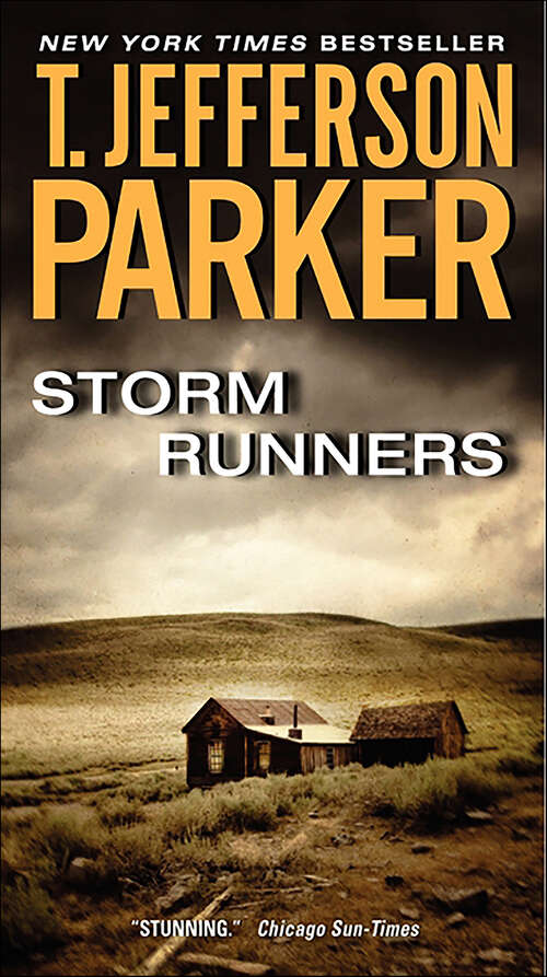 Book cover of Storm Runners