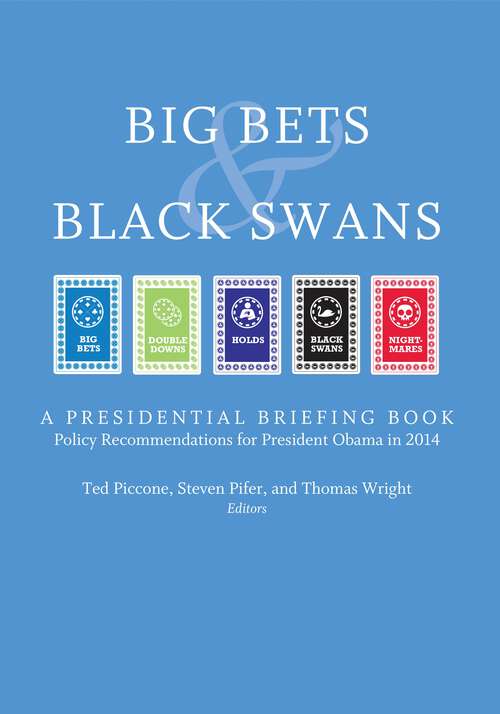 Book cover of Big Bets and Black Swans 2014