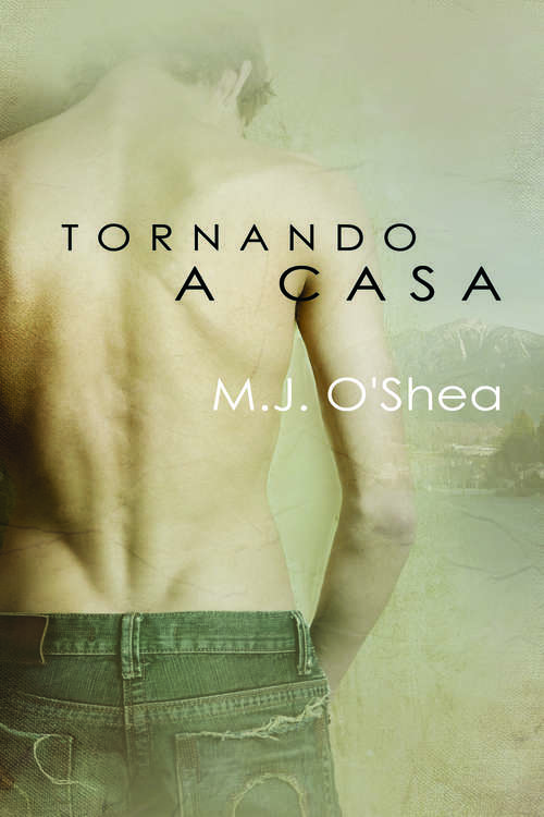 Book cover of Tornando a casa