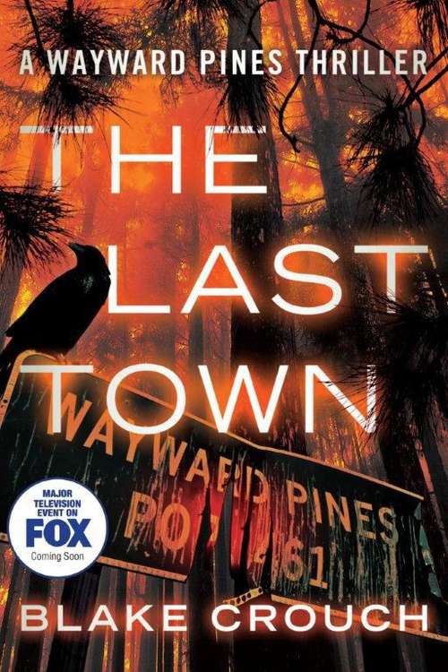 Book cover of The Last Town