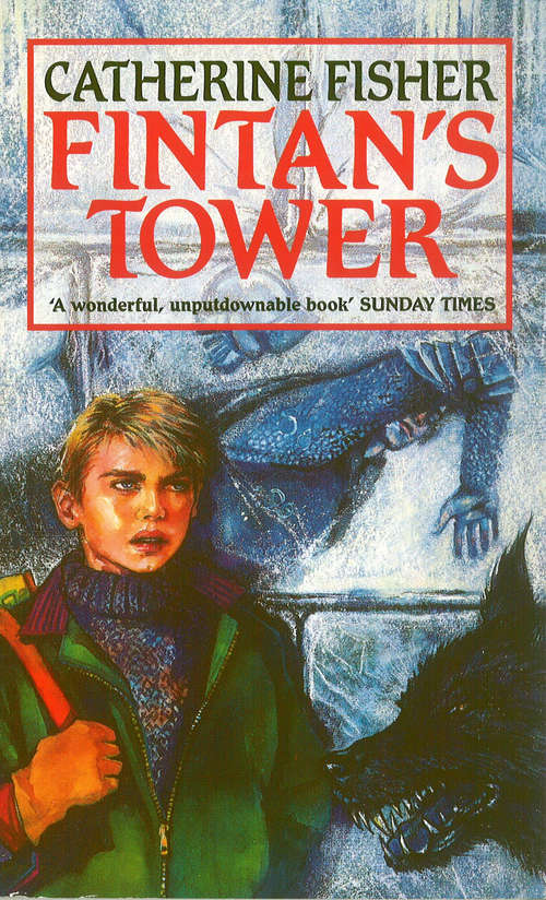 Book cover of Fintan's Tower