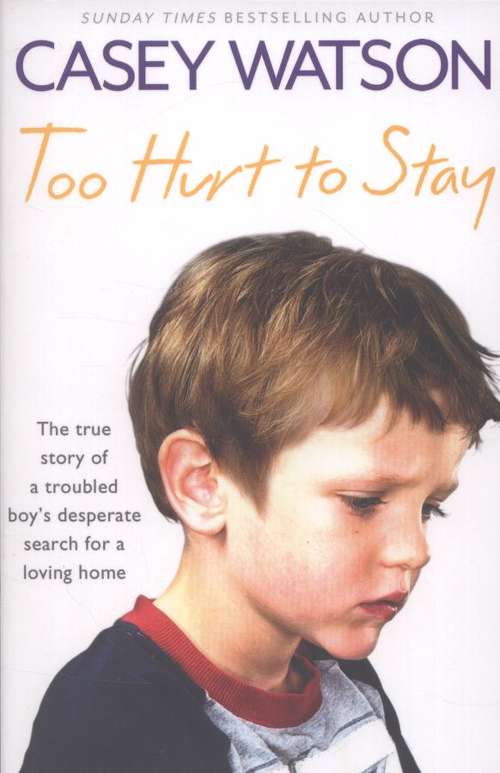 Book cover of Too Hurt to Stay: The True Story of a Troubled Boy's Desperate Search for a Loving Home