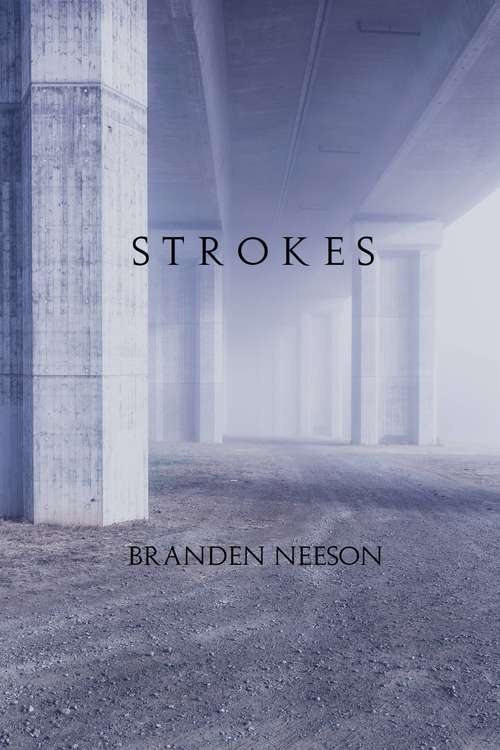 Book cover of Strokes