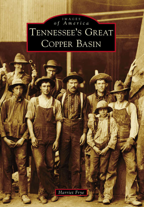 Book cover of Tennessee’s Great Copper Basin