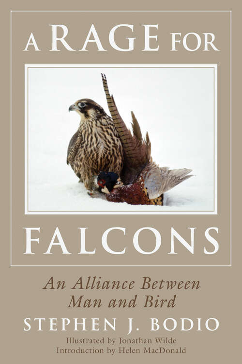 Rage for Falcons: An Alliance Between Man and Bird