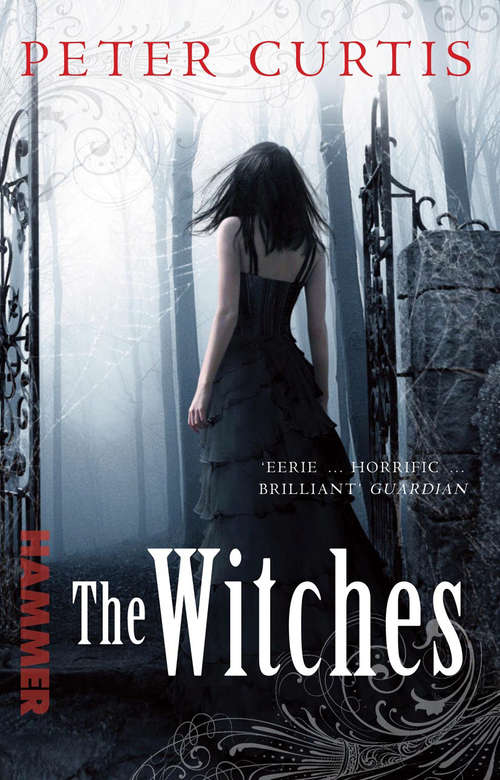 Book cover of The Witches