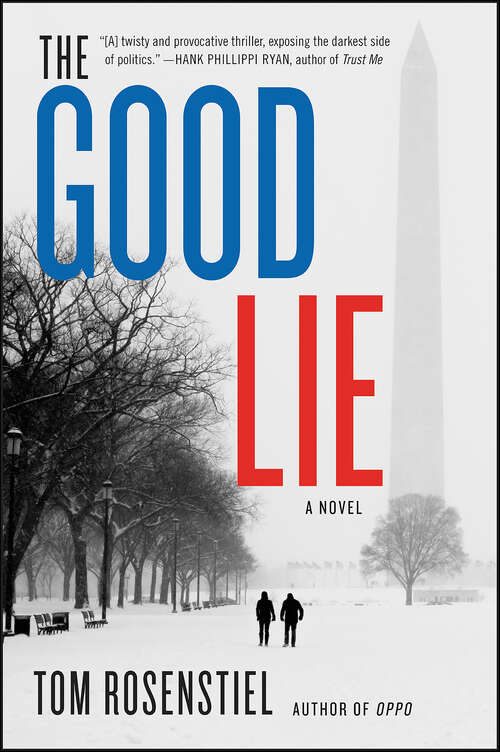 Book cover of The Good Lie: A Novel