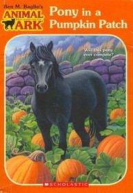 Book cover of Pony In A Pumpkin Patch