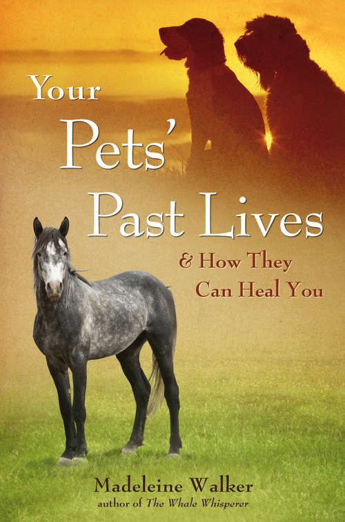 Book cover of Your Pets' Past Lives