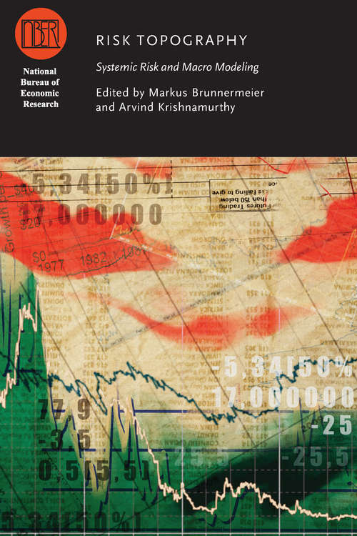 Book cover of Risk Topography: Systemic Risk and Macro Modeling