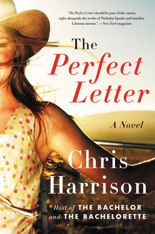 Book cover of The Perfect Letter