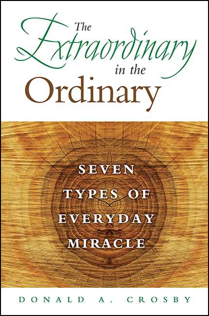 Book cover of The Extraordinary in the Ordinary: Seven Types of Everyday Miracle