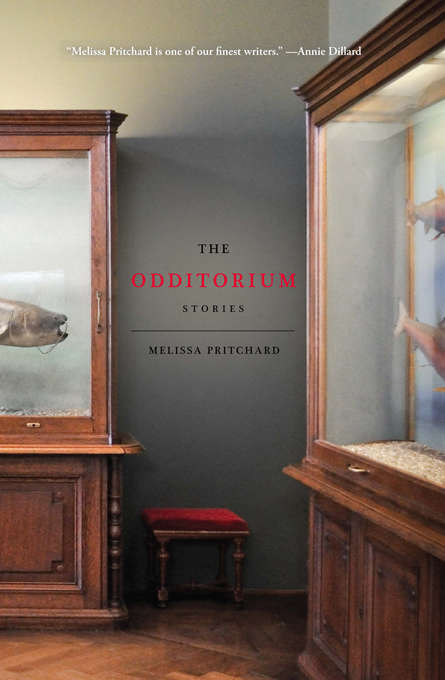 Book cover of The Odditorium