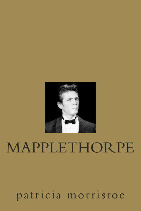 Book cover of Mapplethorpe: A Biography
