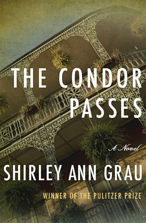 The Condor Passes: A Novel (Transaction Large Print Ser.)