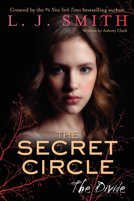 Book cover of The Secret Circle: The Divide
