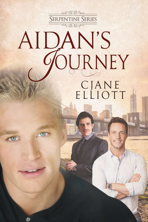 Book cover of Aidan's Journey
