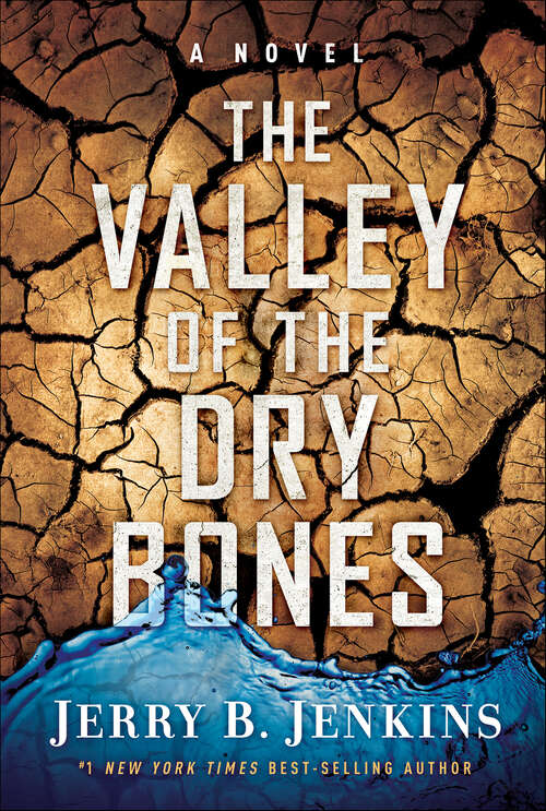 Book cover of The Valley of the Dry Bones: A Novel