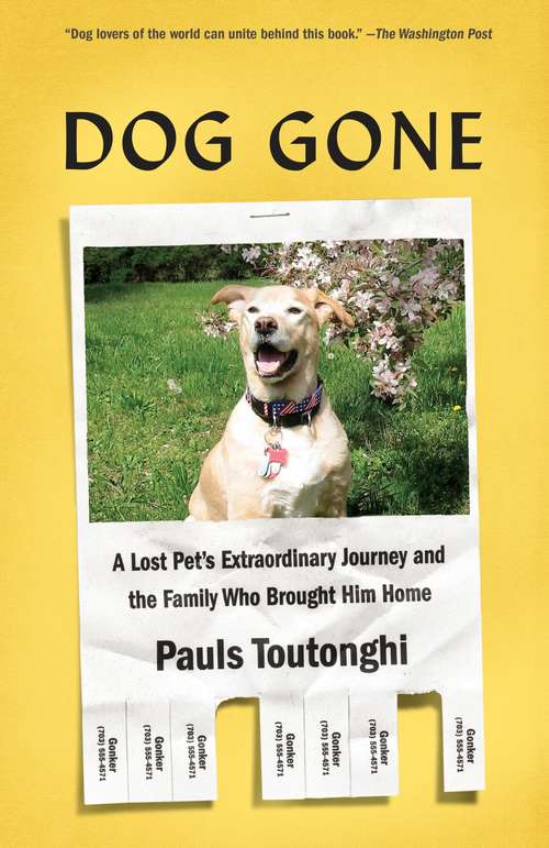 Book cover of Dog Gone: A Lost Pet's Extraordinary Journey and the Family Who Brought Him Home