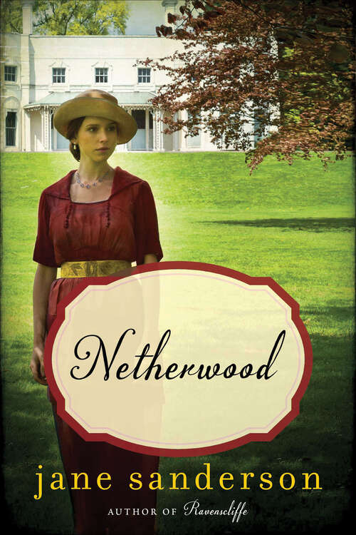 Book cover of Netherwood