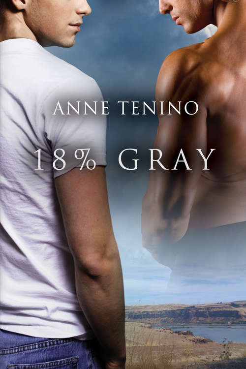 Book cover of 18% Gray (Task Force Iota)